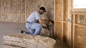 Best Eco-Friendly or Green Insulation Solutions  in Reno, TX